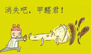 去除甲醛的最有效的方法（去除甲醛最有效的方法植物）