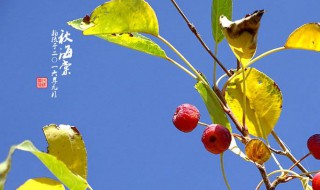 9月22日是什么日子（2022年农历9月22日是什么日子）