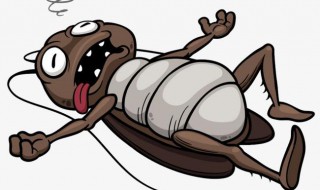 怎么消灭蟑螂（怎么消灭蟑螂最有效）