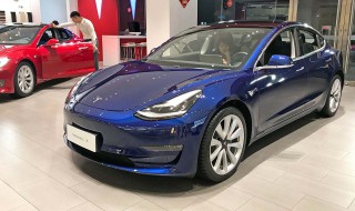 怎么拼多多买特斯拉（拼多多买特斯拉皮肤）