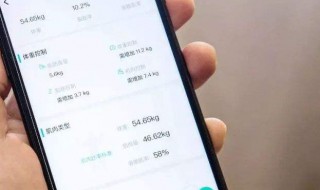 怎么看个人体脂（怎么看个人体脂高不高）