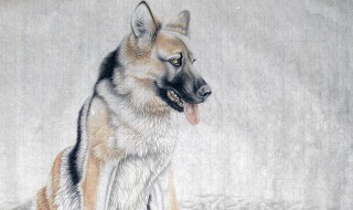 94年属什么的（94年属什么的生肖是什么命）