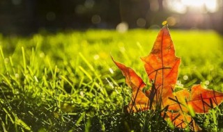 秋分后天气还热吗 秋分为什么天气这么热