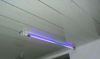 紫外线灯对人体的危害（紫外线灯对人体的危害照射10秒）