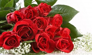 送礼物送什么好 给长辈送礼物送什么好