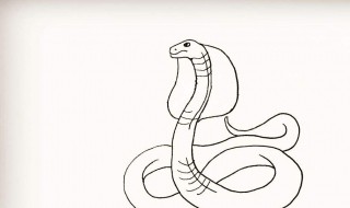 男人梦见蛇（男人梦见蛇咬自己是什么意思）