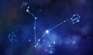 双鱼座女孩性格（双鱼座女孩性格缺点）