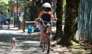 男孩高雅霸气名字 霸气男孩名字 高雅