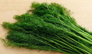 孕妇能吃茴香吗（孕妇能吃茴香吗中期）