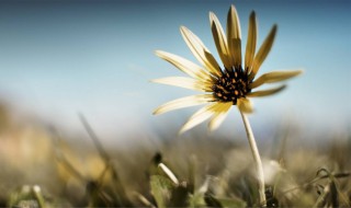 经典个人签名（经典个人签名句子）