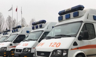 急救电话120的由来 急救电话120的由来 意大利