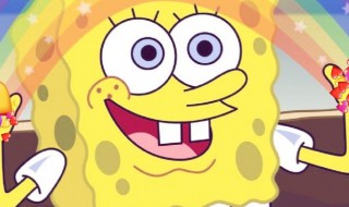 海绵是如何进食的（海绵是如何进食的）