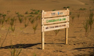 能量双击卡怎么获得 能量双击卡怎么获得?