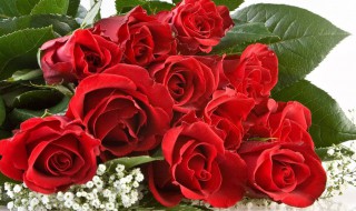 给客户送礼送什么好（给客户送礼送什么好而且实惠）