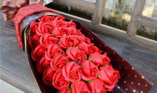 送什么女朋友生日礼物好（女朋友生日送什么礼物好一些）