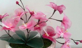 如何制作丝袜花（如何制作丝袜花絮）