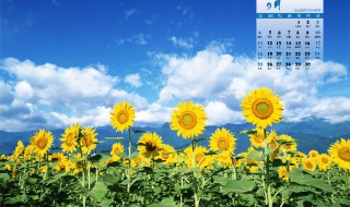 9月份的结婚黄道吉日（9月份结婚黄道吉日2023年）