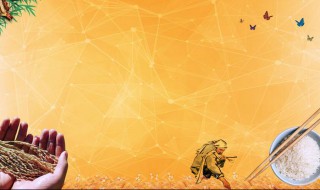 节约粮食我们要怎么做 节约粮食我该怎么做