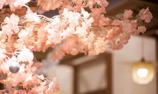 浪漫的精髓在于什么 浪漫的精髓在于什么意思