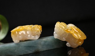 如何给貔貅开光（自己如何给貔貅开光）