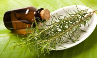 橄榄油的减肥方法（橄榄油的减肥方法有哪些）