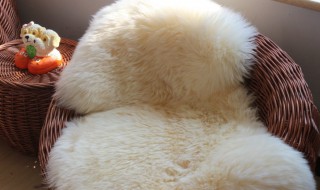 如何清洗羊毛垫（如何清洗羊毛垫子）