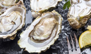 如何清洗生蚝（如何清洗生蚝肉）