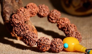 菩提如何清洗（菩提怎么洗才干净）