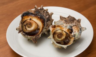 海螺如何清洗（海螺如何清洗才干净）