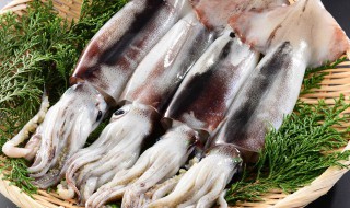 如何清洗墨鱼（如何清洗墨鱼干视频）