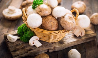 蘑菇如何清洗（蘑菇如何清洗视频）