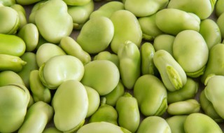 新鲜蚕豆米保鲜方法 新鲜蚕豆米保鲜方法图片