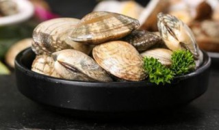 如何正确清洗花蛤