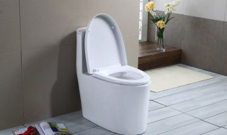 卫生间除臭小妙招（卫生间除臭小妙招图片）