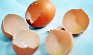 防止母鸡吃鸡蛋小妙招（防止母鸡吃鸡蛋小妙招有哪些）