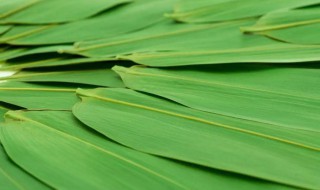 粽叶的种类有哪些 粽叶的种类有哪些