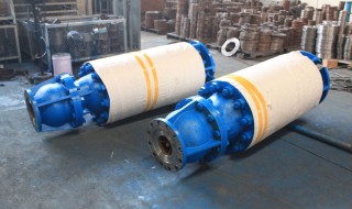 潜水泵使用的禁忌（潜水泵的使用注意事项）