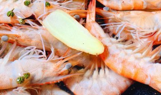如何正确处理虾