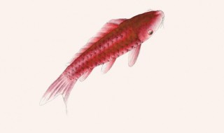 色粉调色有什么技巧 什么色能调粉色