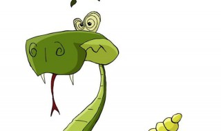 遇到毒蛇时的正确做法（应对毒蛇的方法）