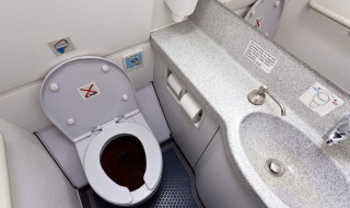 清除龟背上青苔最佳方法 清除龟背上青苔最佳方法图片