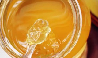 蜂蜜敷脸的正确步骤（蜂蜜可以直接敷脸）