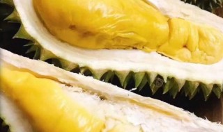 带壳榴莲储存方法（带壳榴莲储存方法图片）