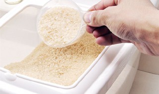 米面防虫的最好方法 米面怎么防虫子