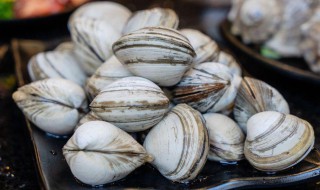 蚬子吐沙小窍门 蚬子吐沙方法