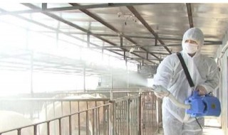 养殖场生石灰消毒方法 养殖场生石灰消毒方法图片