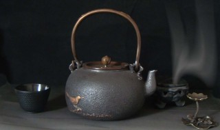 铁壶的使用与保养方法 铁壶的使用与保养方法视频