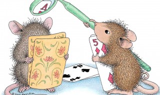 灭老鼠的妙招（灭老鼠的妙招视频）