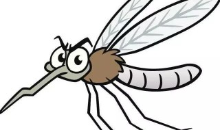 房间蚊子多有什么办法灭掉（有什么办法除蚊子房间里）