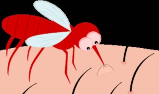 消灭苍蝇蚊子的最简单方法（消灭苍蝇和蚊子的方法）